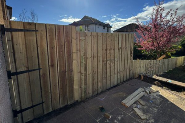 Fencing in back garden on sunny day